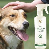 Aloe Veterinary Formula – Aloe Vera (Forever Living Products)