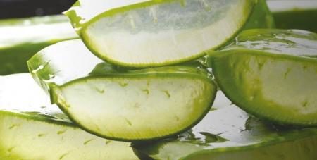 mon aloe vera forever living Belgique